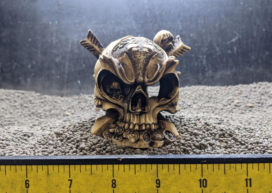 Aquatic Creations Tiki Skull Decoration – Pet World Lawrence Online