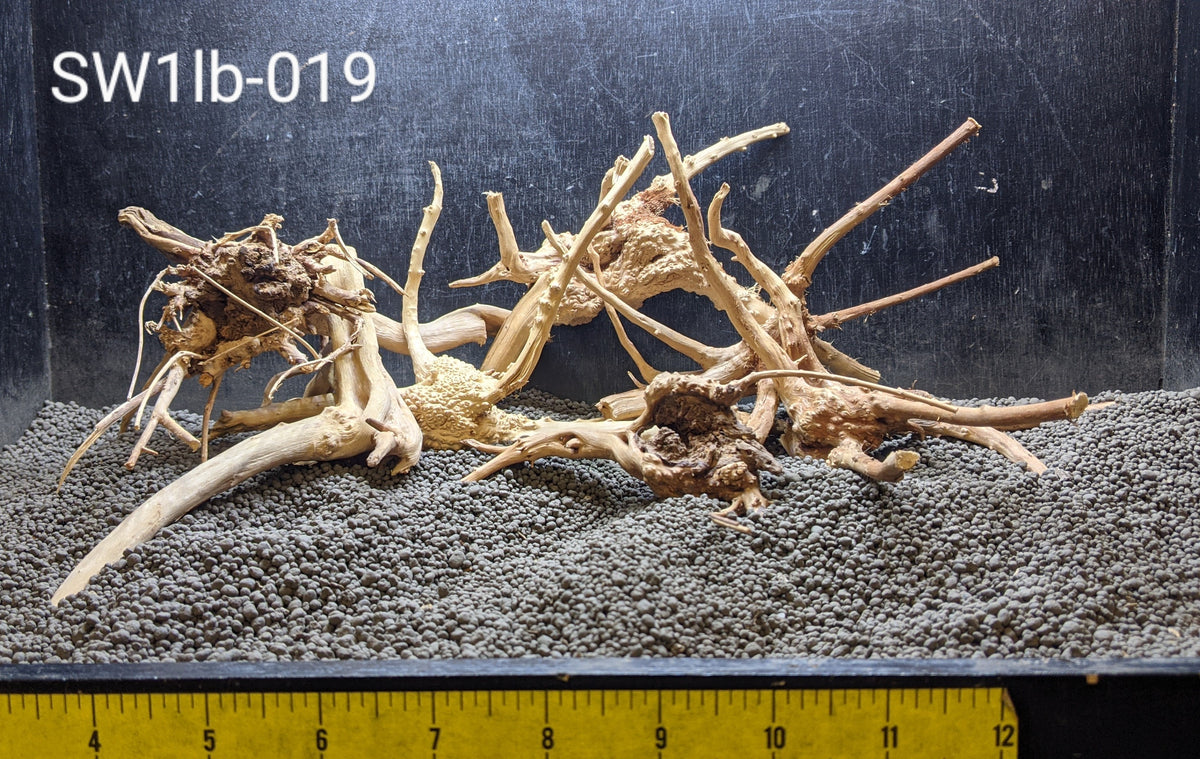 Spider Wood / Cuckoo Root (6-12 Inches) - Bulk Reef Supply