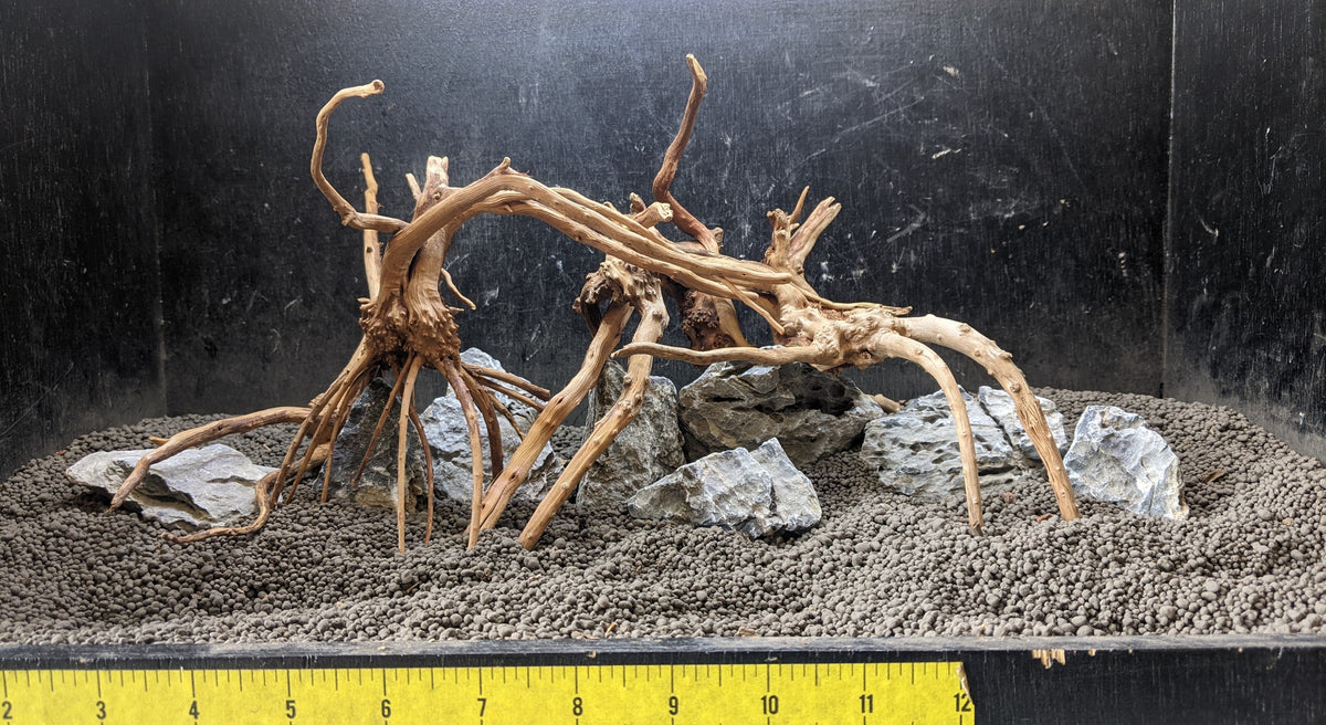 IceCap Spider Wood for Freshwater Hardscapes