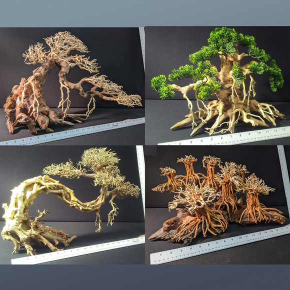 https://petworldlawrenceonline.com/cdn/shop/collections/Bonsai_Collections_580x.png?v=1584550216