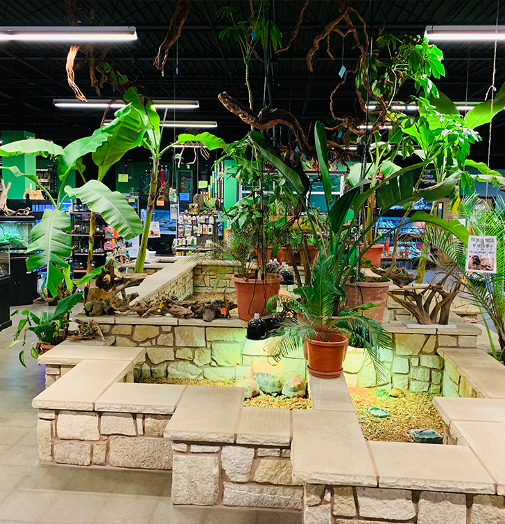 Pets World Store Product Catalog – Pet World Lawrence Online