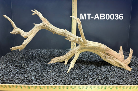 Ghostwood | Manzanita Tree | Specialty Piece | #MT-AB0036