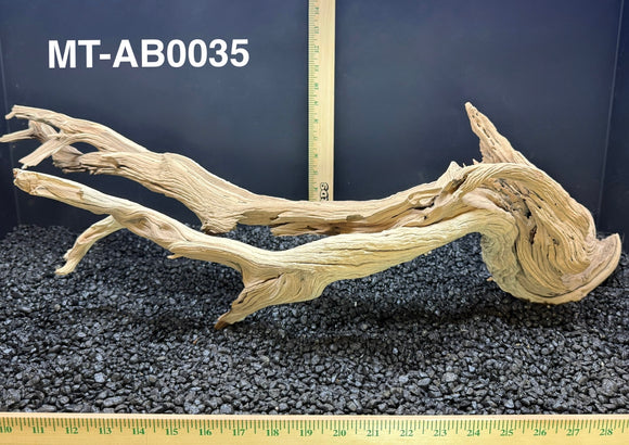 Ghostwood | Manzanita Tree | Specialty Piece | #MT-AB0035