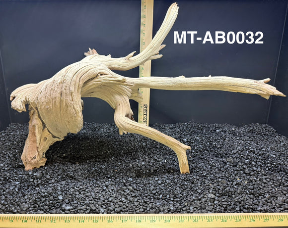 Ghostwood | Manzanita Tree | Specialty Piece | #MT-AB0032