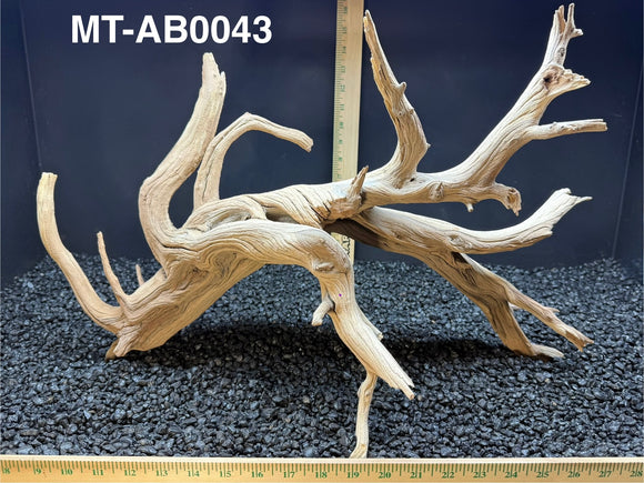 Ghostwood | Manzanita Tree | Specialty Piece | #MT-AB0043
