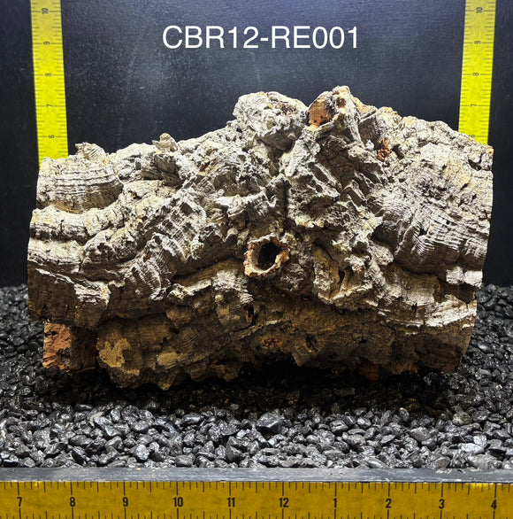 Corkbark Round | Show-Piece | CBR12-RE001