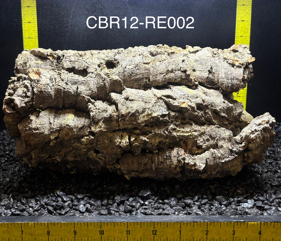 Corkbark Round | Show-Piece | CBR12-RE002