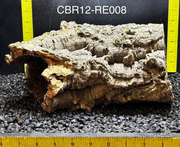 Corkbark Round | Show-Piece | CBR12-RE008