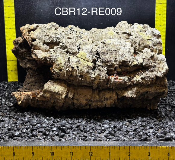 Corkbark Round | Show-Piece | CBR12-RE009