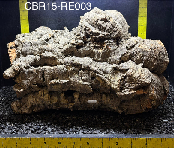 Corkbark Round | Show-Piece | CBR15-RE003