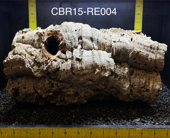 Corkbark Round | Show-Piece | CBR15-RE004