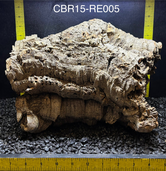 Corkbark Round | Show-Piece | CBR15-RE005