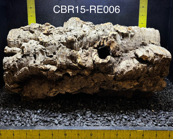 Corkbark Round | Show-Piece | CBR15-RE006