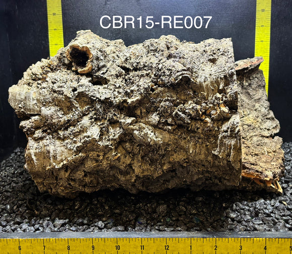 Corkbark Round | Show-Piece | CBR15-RE007