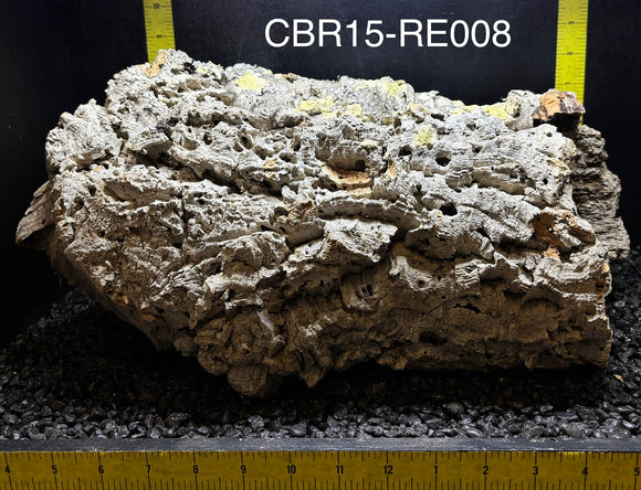 Corkbark Round | Show-Piece | CBR15-RE008