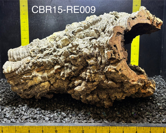 Corkbark Round | Show-Piece | CBR15-RE009