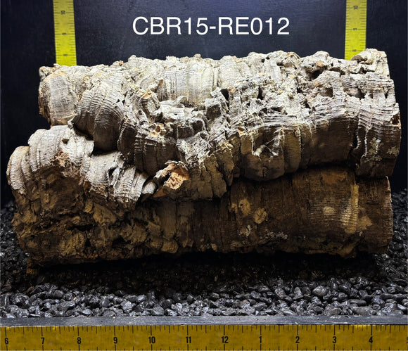 Corkbark Round | Show-Piece | CBR15-RE012
