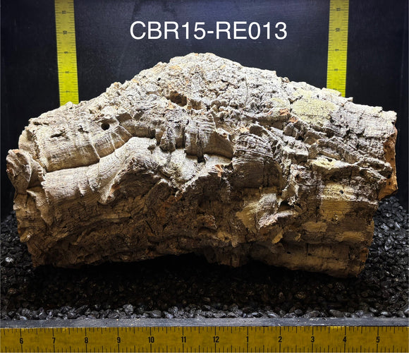 Corkbark Round | Show-Piece | CBR15-RE013