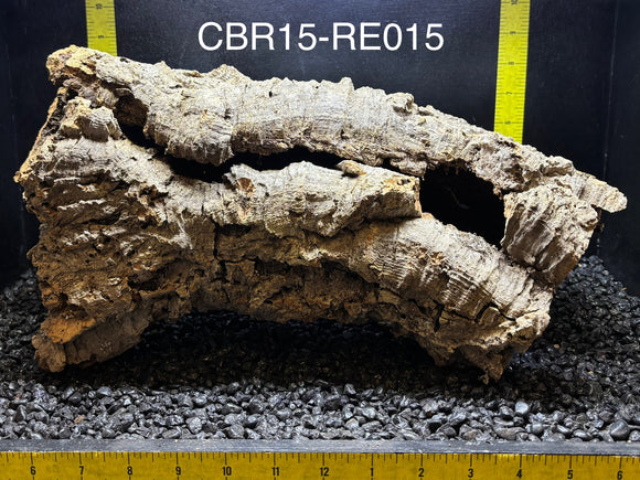 Corkbark Round | Show-Piece | CBR15-RE015