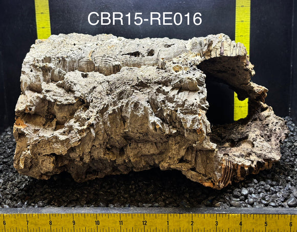 Corkbark Round | Show-Piece | CBR15-RE016