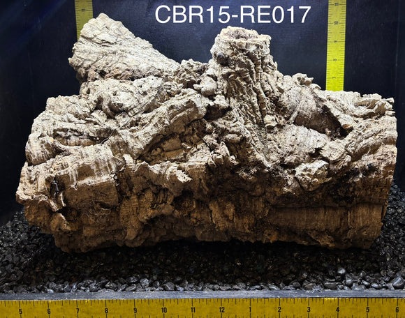 Corkbark Round | Show-Piece | CBR15-RE017