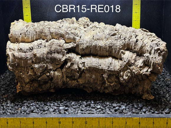 Corkbark Round | Show-Piece | CBR15-RE018