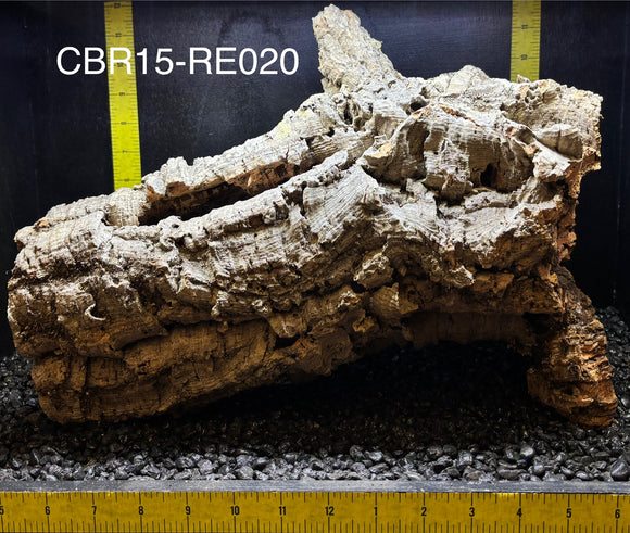 Corkbark Round | Show-Piece | CBR15-RE020