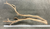 Ghostwood | 36" long | GW36-AB006