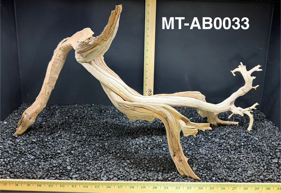 Ghostwood | Manzanita Tree | Specialty Piece | #MT-AB0033