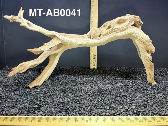 Ghostwood | Manzanita Tree | Specialty Piece | #MT-AB0041
