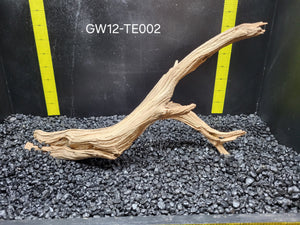 Ghostwood | 12" long | GW12-TE002