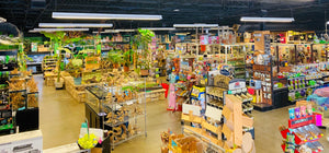 pet world lawrence in-store look