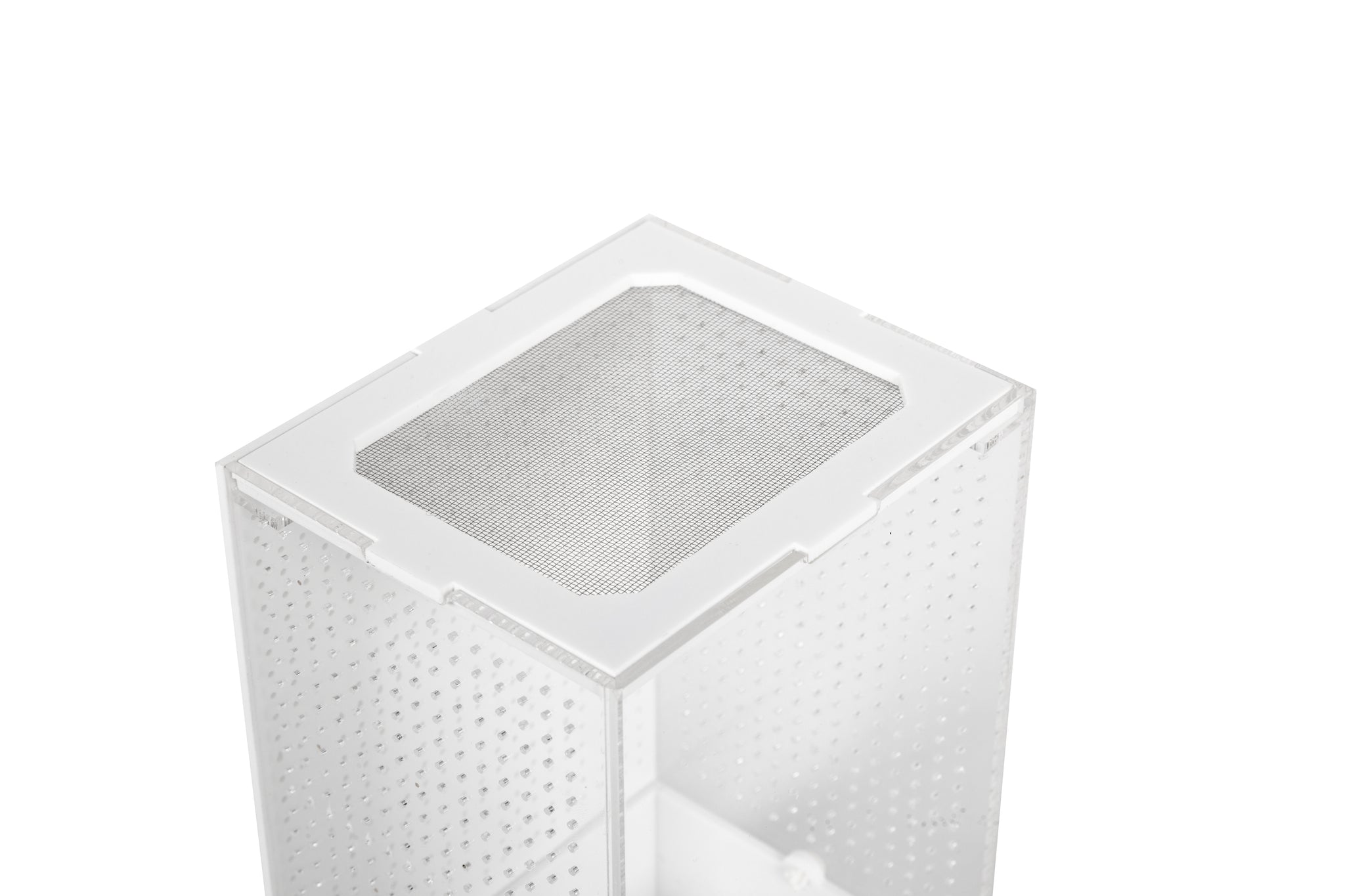 Reptizoo | Acrylic Insects Feeder Habitat – Pet World Lawrence Online