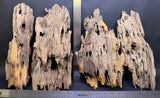 Shrimp Wood | Assorted Bulk
