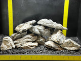 Seiryu Stone | Nano/4.5 lb. Assorted Bulk