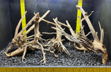 Comnguoi Driftwood | Assorted Bulk