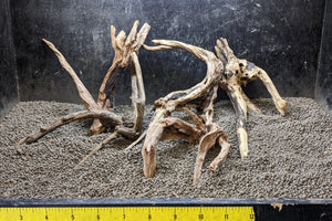 The example of the variations of Assorted Black Spiderwood available from Pet World Lawrence KS online