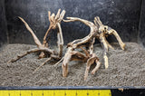 The example small (1 lb) Assortment of Black Spiderwood available from Pet World Lawrence KS online