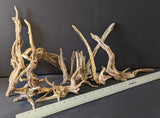 The example medium (5 lb) Assortment of Black Spiderwood available from Pet World Lawrence KS online
