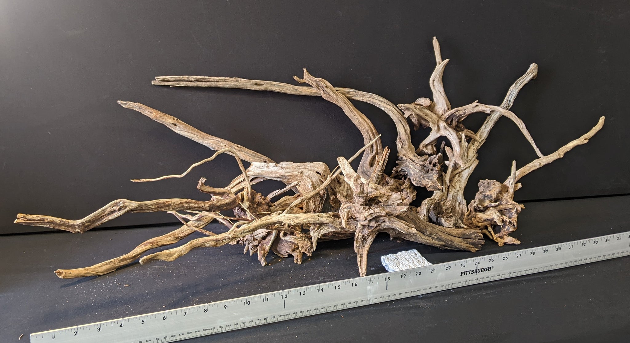 Black Spiderwood  Assorted Bulk – Pet World Lawrence Online