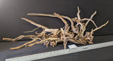 The example large (7.5 lb) Assortment of Black Spiderwood available from Pet World Lawrence KS online