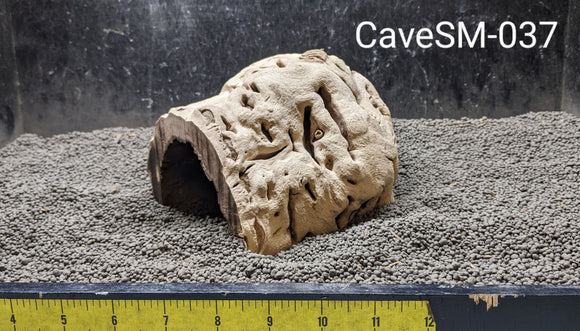 Grapevine Cave | Small Select | #037