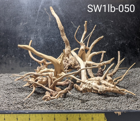 Spiderwood | 1 lb Selected | #050