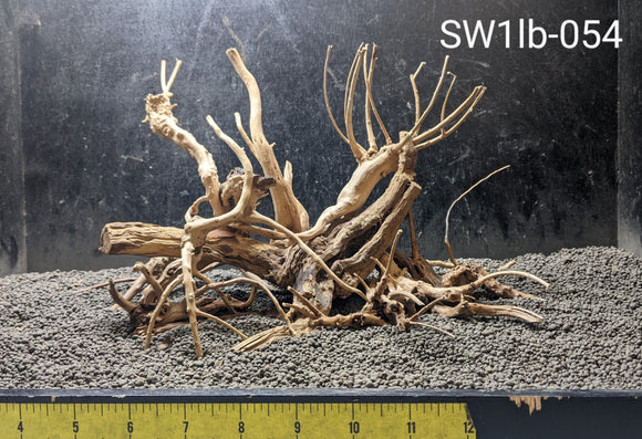 Spiderwood | 1 lb Selected | #054