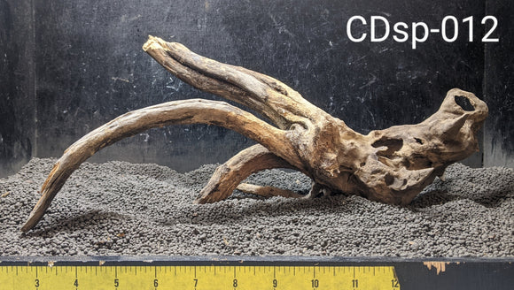 Comnguoi Driftwood | Show-Piece | #012