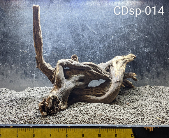 Comnguoi Driftwood | Show-Piece | #014