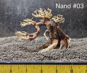 Nano Bonsai | 5.5" x 4.5" | #03