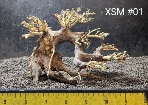 bonsai tree for aquarium for sale Extra Small Bonsai | 8" x 6"