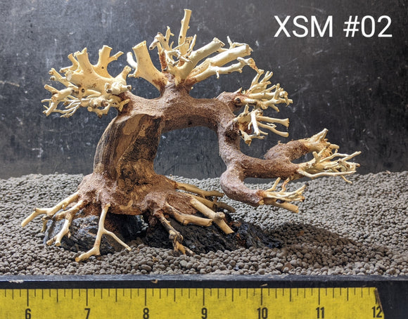 driftwood bonsai tree Extra Small Bonsai | 8" x 6"