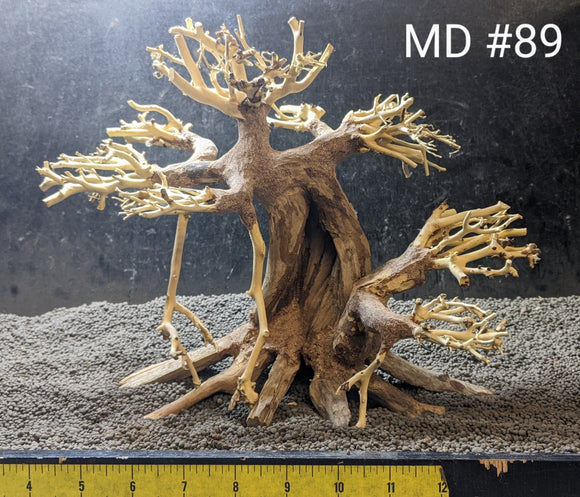 medium bonsai trees Medium Bonsai | 13.5" x 9.5"